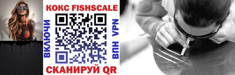 Купить закладки  Заозёрный  COCAIN Fish Scale 